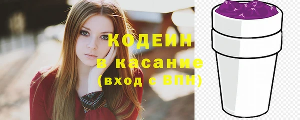 молекула духа Козловка
