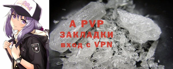 СК Бикин