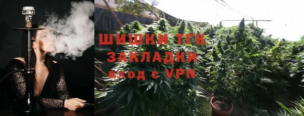 амф Касимов