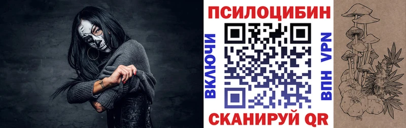 хочу наркоту  Красновишерск  Галлюциногенные грибы Cubensis 