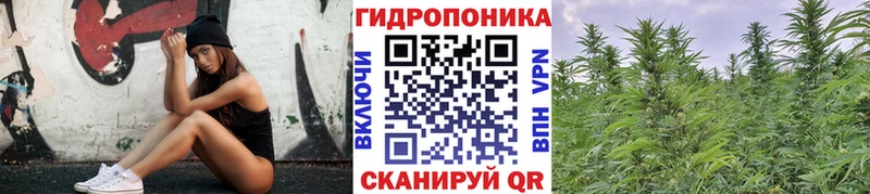 Каннабис планчик  закладка  Красновишерск 